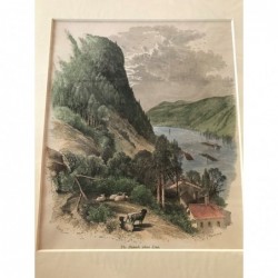 Linz, Donaulandschaft - Holzstich, 1878