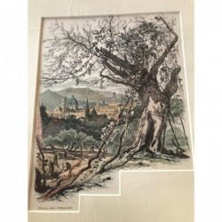 Florenz: Ansicht v. Bellosguardo aus - Holzstich, 1878