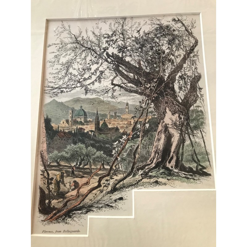 Florenz: Ansicht v. Bellosguardo aus - Holzstich, 1878