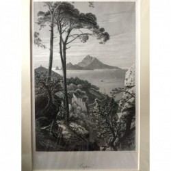 Capri: Teilansicht - Stahlstich, 1878