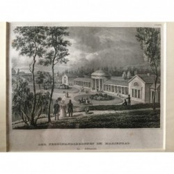 Marienbad: Ansicht Ferdinandsbrunnen - Stahlstich, 1850