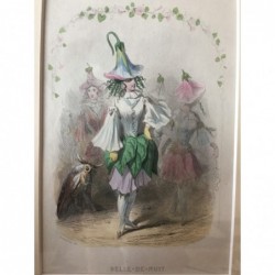 Wunderblume - Stahlstich, 1850