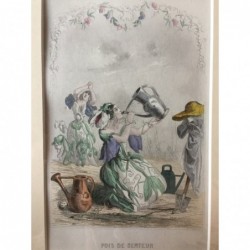 Wicke - Stahlstich, 1850