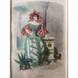Kaktus - Stahlstich, 1850
