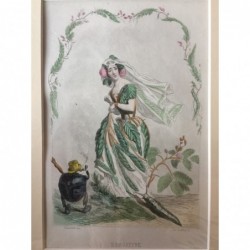 Mimose - Stahlstich, 1850