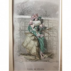 Pfirsichblüte - Stahlstich, 1850