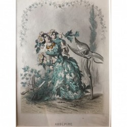 Weißdorn - Stahlstich, 1850