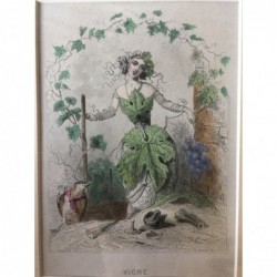 Wein - Stahlstich, 1850