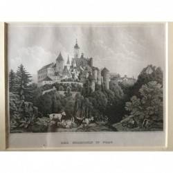 Prag: Ansicht Hradschin - Stahlstich, 1860