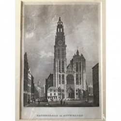 Antwerpen: Ansicht Kathedrale - Stahlstich, 1860