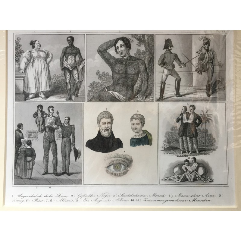 Anthropologie: 6 Abb. - Stahlstich, 1850
