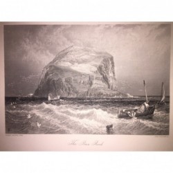 Bass Rock: Ansicht - Stahlstich, 1878