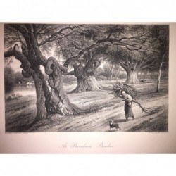 Burnham Beeches: Ansicht - Stahlstich, 1878