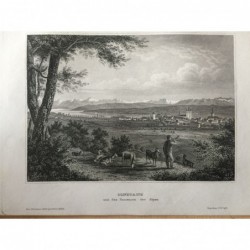 Konstanz: Ansicht - Stahlstich, 1860