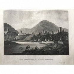 Neckarsteinach: Ansicht - Stahlstich, 1860