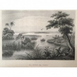 Tschad: Ansicht des Flusses - Stahlstich, 1860