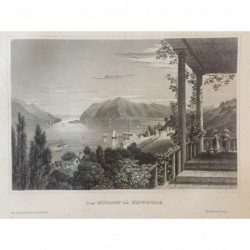 Newburg: Ansicht - Stahlstich, 1860