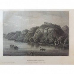 Mississippi: Szenerie - Stahlstich, 1860