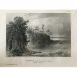 San Juan, Ansicht: Szenerie auf dem San Juan in Central- America - Stahlstich, 1850