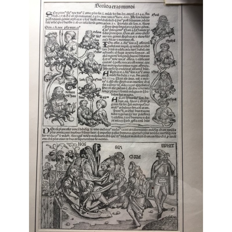 Noah: Secuda etas mundi - Holzschnitt, 1493