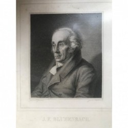 J. F. Blumenbach - Stahlstich, 1850